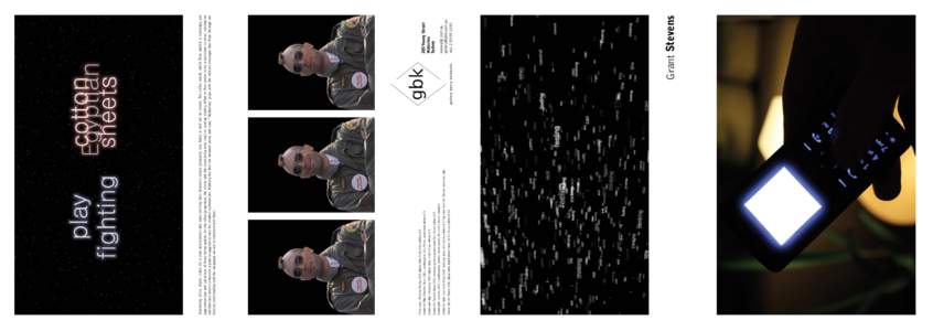 Front cover: Thinking Feeling, 2011, digital video, 5 min 9 sec, edition of 5 Inside left flap: Phantom Buzz, 2012, Lambda print, 33 x 50 cm, unmounted, edition of 5 Inside right flap: Hankering, 2012, digital video, 3 m