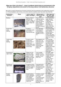 Earthlearningidea – http//:www.earthlearningidea.com  What was it like to be there? – clues in sediment which bring an environment to life Bringing a depositional environment to life using evidence from sedimentary s