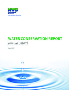 Carter Strickland, Commissioner  WATER CONSERVATION REPORT ANNUAL UPDATE June 2012