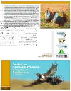 Many Montana landowners are long familiar with the rhythmic strutting of the greater sage-grouse attracting mates on dancing grounds across rangelands each spring. Sage-grouse are also gaining recognition as a species th