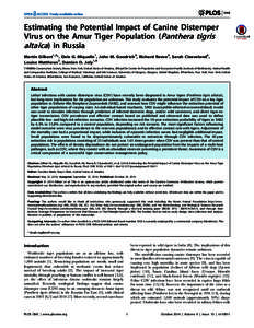 Estimating the Potential Impact of Canine Distemper Virus on the Amur Tiger Population (Panthera tigris altaica) in Russia Martin Gilbert1,2*, Dale G. Miquelle1, John M. Goodrich3, Richard Reeve2, Sarah Cleaveland2, Loui