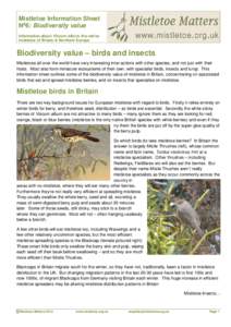 Mistletoe Information Sheet No6: Biodiversity value Information about Viscum album, the native mistletoe of Britain & Northern Europe  Biodiversity value – birds and insects