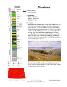 Geography of the United States / Western United States / Beef / American Old West / American bison / Cuisine of the Western United States / Livestock / Native American cuisine / Bison / Missouri River / National Bison Range