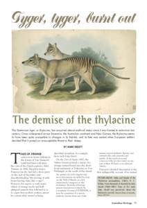 Tyger, tyger, burnt out  The demise of the thylacine The Tasmanian tiger, or thylacine, has acquired almost mythical status since it was hunted to extinction last century. Once widespread across Tasmania, the Australian 