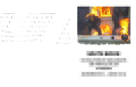 WHITE BOOK ON VIOLATIONS OF HUMAN RIGHTS AND THE RULE OF LAW IN UKRAINE (NOVEMBER 2013 — MARCH 2014)