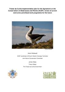 Ornithology / Water / Agreement on the Conservation of Albatrosses and Petrels / Spectacled Petrel / Grey Petrel / Tristan da Cunha / Inaccessible Island / Nightingale Island / Sooty Albatross / Procellariiformes / Albatrosses / Neognathae