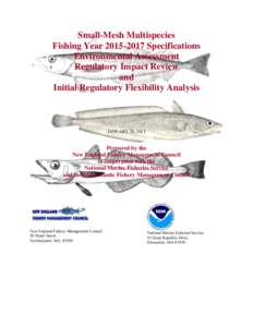 Small-Mesh Multispecies Fishing YearSpecifications Environmental Assessment Regulatory Impact Review and Initial Regulatory Flexibility Analysis