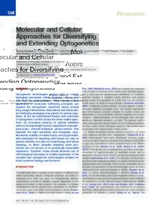 Resource  Molecular and Cellular Approaches for Diversifying and Extending Optogenetics Viviana Gradinaru,1,2,6 Feng Zhang,1,5,6 Charu Ramakrishnan,1 Joanna Mattis,1,2 Rohit Prakash,1,2 Ilka Diester,1