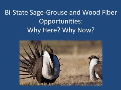 Bi-State Sage-Grouse and Wood Fiber Opportunities: Why Here? Why Now? What Are Bi-State Sage-Grouse? • A distinct