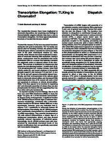 Current Biology, Vol. 13, R915–R916, December 2, 2003, ©2003 Elsevier Science Ltd. All rights reserved. DOI[removed]j.cub[removed]Dispatch Transcription Elongation: TLKing to Chromatin?