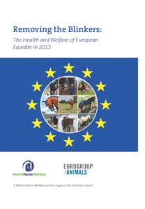 Removing the Blinkers: The Health and Welfare of European Equidae in 2015 World HorseWelfare A World Horse Welfare and Eurogroup for Animals report