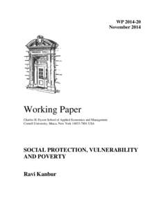 Microsoft Word - WP 2014-XX Social Protection ...