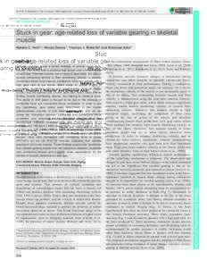 © 2016. Published by The Company of Biologists Ltd | Journal of Experimental Biology, doi:jebRESEARCH ARTICLE Stuck in gear: age-related loss of variable gearing in skeletal muscle