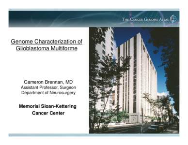 Genome Characterization of Glioblastoma Multiforme Cameron Brennan, MD Assistant Professor, Surgeon Department of Neurosurgery