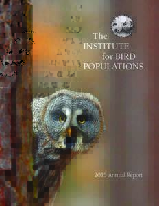 Strix / Biology / Birds of North America / Pheucticus / Owls / California / Geothlypis / Spotted owl / Great grey owl / Black-headed grosbeak / Yosemite National Park / Common yellowthroat