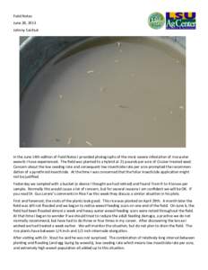 Food and drink / Agriculture / Agricultural pest insects / Tropical agriculture / Chemistry / Rice / Pentatomidae / Oebalus pugnax / Glyphosate / Paddy field / Maize / Brown marmorated stink bug
