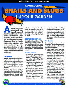 Less-toxic Pest MAnAgeMent  controllIng snails and slugs In Your garden