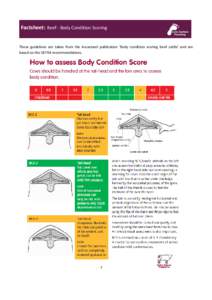 Factsheet: Beef - Body Condition Scoring  These guidelines are taken from the Assurewel publication ‘Body condition scoring beef cattle’ and are based on the DEFRA recommendations.  Further Points for Enquiry
