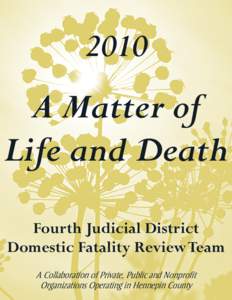 2010  A Matter of Life and Death Fourth Judicial District Domestic Fatality Review Team