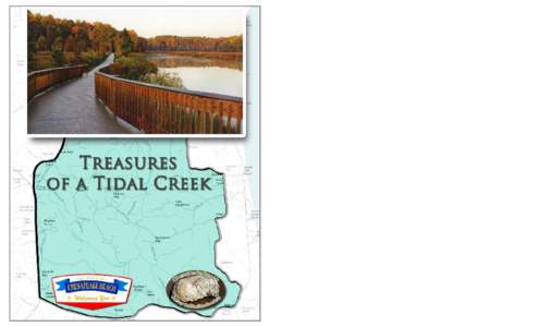 Fishing Creek History Fishing Creek is indeed a treasure! It is treasured not only for its scenic beauty and bounty of wildlife, but also for its contribution to the history of the Town of Chesapeake Beach. The formatio