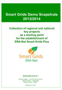 Smart Grids Demo SnapshotsCollection of regional and national key projects as a starting point for the establishment of