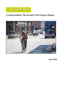 CAPS 2013 PROGRESS REPORT