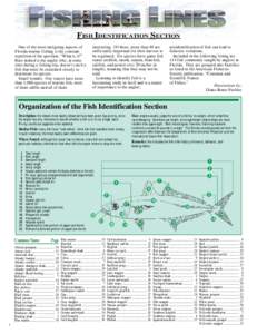 FISH IDENTIFICATION SECTION One of the most intriguing aspects of Florida marine fishing is the constant repetition of the question, “What is it?” Rare indeed is the angler who, at some time during a fishing trip, do