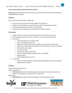 Sea Turtle 5th Grade Curriculum  Lesson 6: How Do Human Activities Affect Sea Turtles? Page 6-1