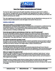 Know Your Rights: Demonstrations and Protests You have the right to express yourself, gather peacefully, and ask your government to address your concerns. The government can set reasonable rules regarding the time, place