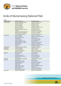 birds of Murramarang National Park Aves Family Name Acanthizidae  Accipitridae