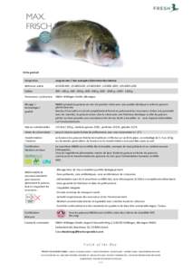 Fiche	produit Désignation	  Loup	de	mer	/	Bar	européen	(Dicentrarchus	labrax)