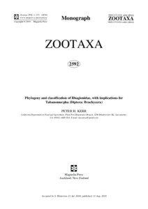Chrysopilus / Rhagio / Spatulina / Desmomyia / Arthroteles / Alloleptis / Solomomyia / Austroleptis / Arthroceras / Rhagionidae / Phyla / Protostome