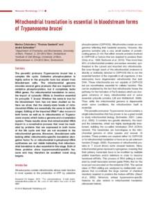 Molecular Microbiology (2010) 䊏  doi:j07368.x Mitochondrial translation is essential in bloodstream forms of Trypanosoma brucei
