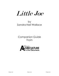 Little Joe by Sandra Neil Wallace Companion Guide From