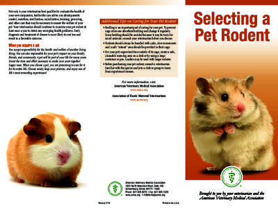 Selecting a Pet Rodent (English)