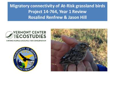 Migratory connectivity of At-Risk grassland birds Project, Year 1 Review Rosalind Renfrew & Jason Hill DoD Legacy: Derrick Golla, Taylor Phillips Kansas State University: Brett Sandercock