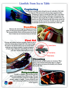 Lionfish: From Sea to Table Capturing Lionfish have venomous spines along the top and undersides of the body (see diagram). Take precautions and use proper equipment when attempting to capture or handle these fish. Clear