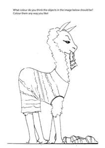 What Colour Is This Llama