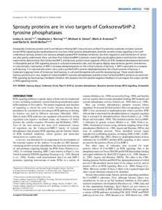 RESEARCH ARTICLEDevelopment 133, doi:devSprouty proteins are in vivo targets of Corkscrew/SHP-2 tyrosine phosphatases
