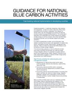 Guidance for national blue carbon activities Fast-tracking national implementation in developing countries Coastal ecosystems – in particular mangroves, tidal marshes and seagrasses – contain rich carbon reservoirs. 