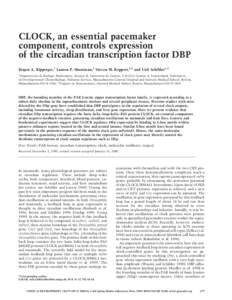 CLOCK, an essential pacemaker component, controls expression of the circadian transcription factor DBP Ju¨rgen A. Ripperger,1 Lauren P. Shearman,2 Steven M. Reppert,2,3 and Ueli Schibler1,4 1