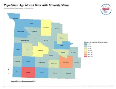 Population Age 60 and Over with Minority Status Minnesota River Area Agency on Aging®, Inc. Big Stone Swift Kandiyohi