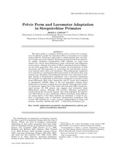 THE ANATOMICAL RECORD 298:230–[removed]Pelvic Form and Locomotor Adaptation in Strepsirrhine Primates KRISTI L. LEWTON1,2* Department of Anatomy and Neurobiology, Boston University School of Medicine, Boston,