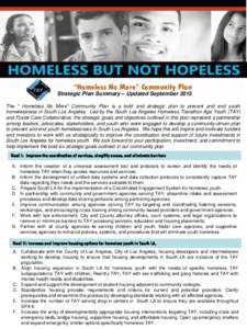 “Homeless No More” Community Plan  Strategic Plan Summary – Updated September 2015 The “ Homeless No More” Community Plan is a bold and strategic plan to prevent and end youth homelessness in South Los Angeles.