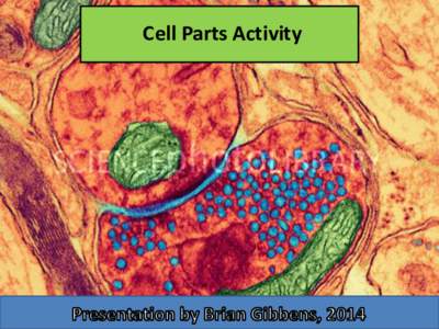 Cell Parts Activity  Intended Audience Biol 2003 Foundations of Biology Students