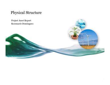 Physical Structure Project Asset Report Rosemarie Dominguez Assets Priorities