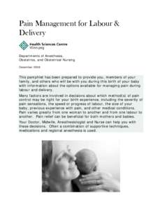 Pain Management for Labour & Delivery Departments of Anesthesia, Obstetrics, and Obstetrical Nursing December 2008