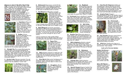 Welcome to John D. MacArthur Beach State Park! This Park Plants Guide provides a selfguided walking tour of the park’s native coastal flora. Follow the trail highlighted on the attached map for a botanical exploration 