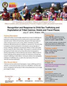 Recognition and Response to Child Sex Trafficking and Exploitation at Tribal Casinos, Hotels and Travel Plazas July 27, 2016 | Walker, MN Training Description  Training Fee