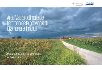 Area Vasta ottimale del territorio della provincia di Cremona e limitrofi Camera di Commercio di Cremona 20 Giugno 2016
